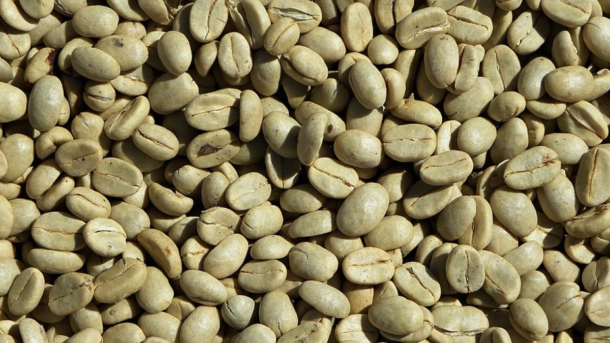 Descubre las propiedades del café verde y beneficios para adelgazar